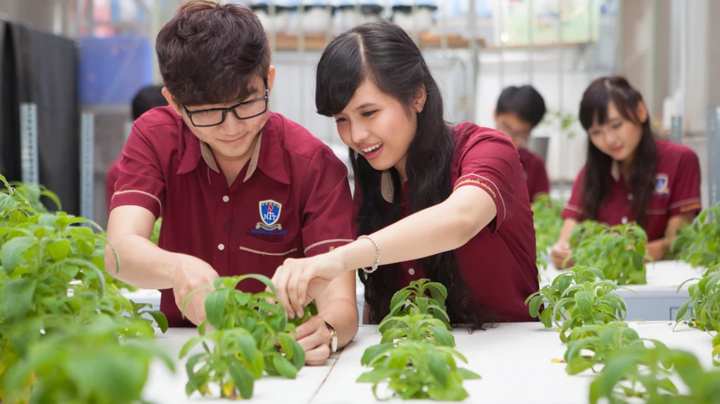 CNTT VÀ DỮ LIỆU TÀI NGUYÊN MÔI TRƯỜNG – “Món lạ” thời đại 4.0 dành riêng cho Gen Z yêu công nghệ & trái đất