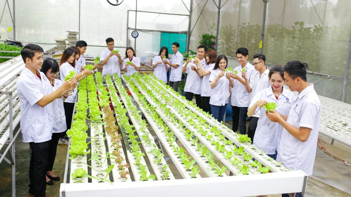 Quản l&yacute; t&agrave;i nguy&ecirc;n m&ocirc;i trường