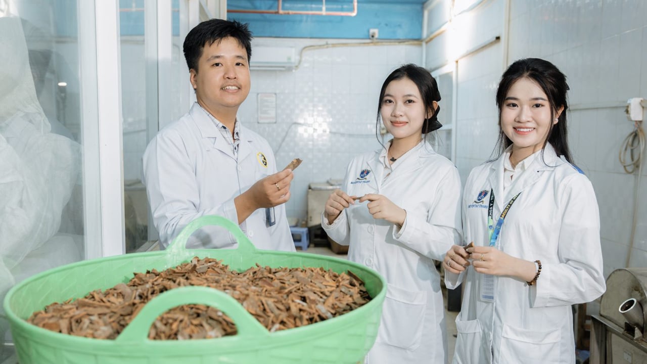https://tuyensinh.ntt.edu.vn/upload/popup/y-hoc-co-truyen-3.jpg