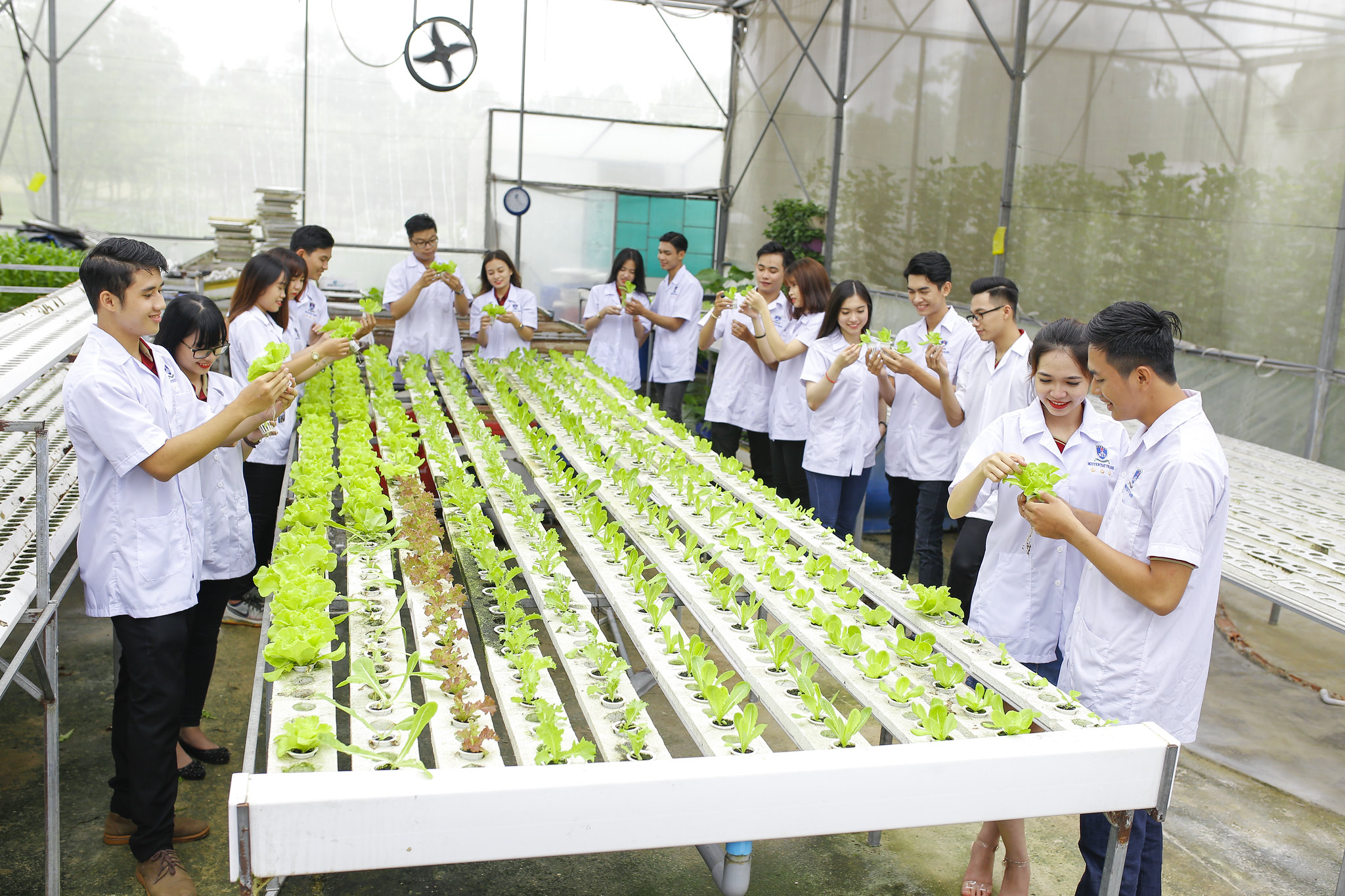 ngành Quản lý tài nguyên và môi trường học trường nào