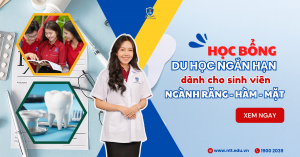 Học bổng và cơ hội “vàng” du học ngắn hạn dành cho sinh viên Răng Hàm Mặt NTTU