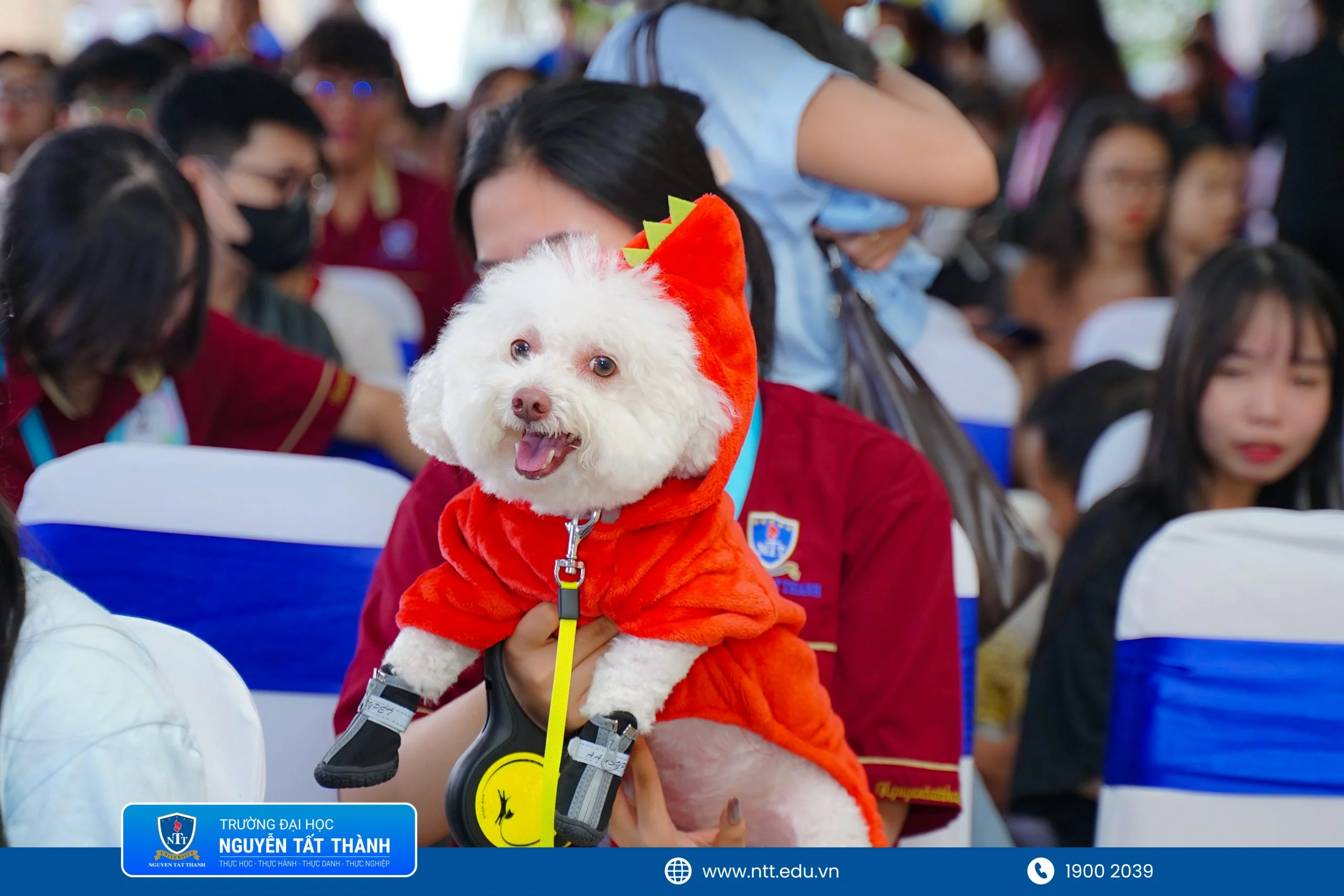 https://tuyensinh.ntt.edu.vn/upload/thu-y/nttu-135-scaled.jpg