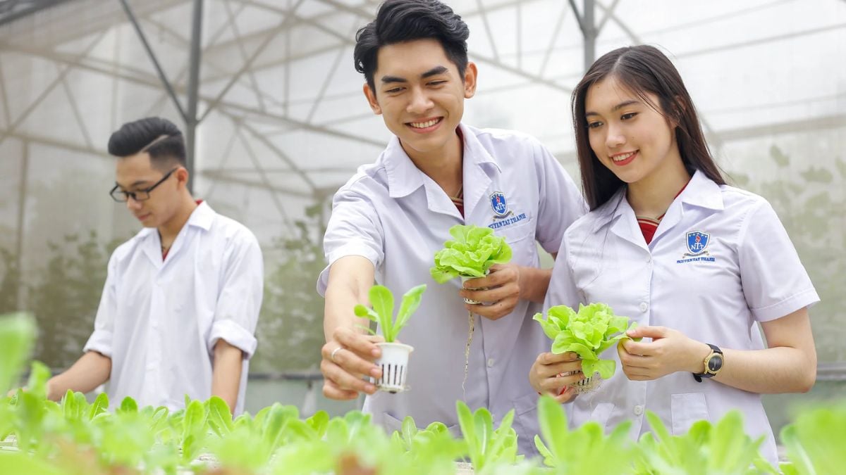 CHỌN NGÀNH “XANH” – ĐÓN ĐẦU XU HƯỚNG NET ZERO